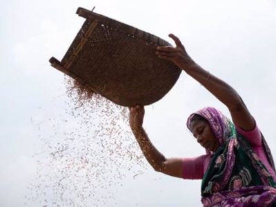 La covid-19 pone de manifiesto la "vulnerabilidad" de los sistemas agroalimentarios: FAO