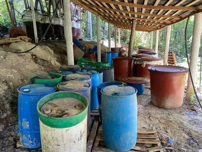 Hallan segundo narcolaboratorio en Palenque, Chiapas en menos de un mes