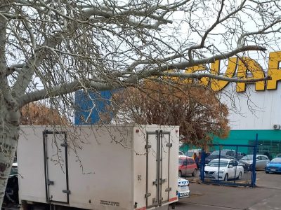 A comerciante de Loncopué le robaron 700 mil pesos en Neuquén capital