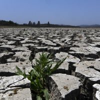 Megasequía en Chile: más de la mitad de las comunas están en escasez hídrica