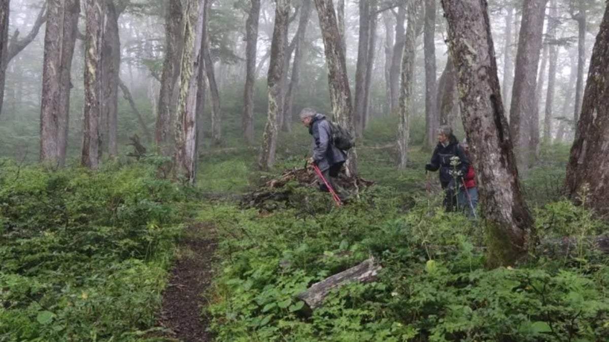 Sendero agreste que está en el camino de la Ruta de Neruda. Fuente: (Facebook)