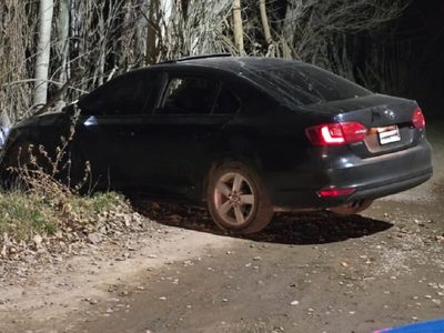 Robaron un auto, los persiguió la policía y se estrellaron contra una alameda
