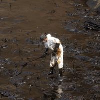 El oscuro panorama de Perú tras el derrame de petróleo: un desastre ambiental y económico