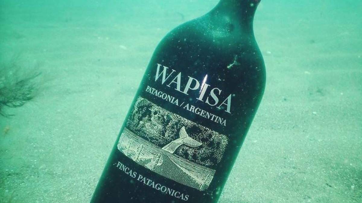 Primera cava submarina en Las Grutas. Fuente; (Instagram)