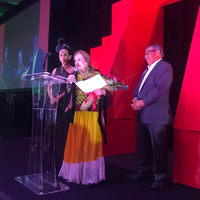 Museo Mexic-Arte de Texas rinde homenaje a Rina Lazo