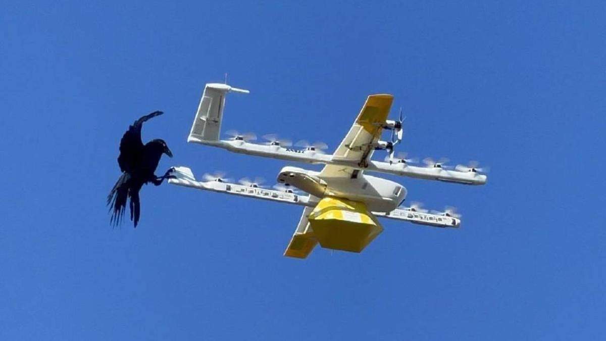 El ataque del cuervo al dispositivo aéreo