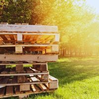 Tenés un tesoro y no lo sabías: cómo transformar un palet de madera en una decoración que sorprende