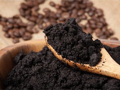 No tires la borra de café: así podés usarla para sahumar tu casa y alejar a todos los insectos