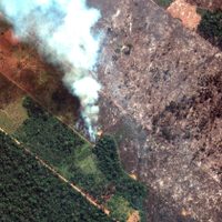 Bolsonaro busca crear caos para impulsar proyectos depredadores en el Amazonas: Open Democracy