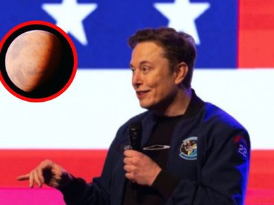 Elon Musk busca crear una “legión” de hijos para salvar a la humanidad y llegar a Marte