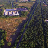 En la Península de Yucatán hay 122 granjas porcícolas en zonas clave para la biodiversidad