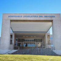 Represión en Chubut: qué planteó el proyecto que presentaron en la Legislatura de Neuquén