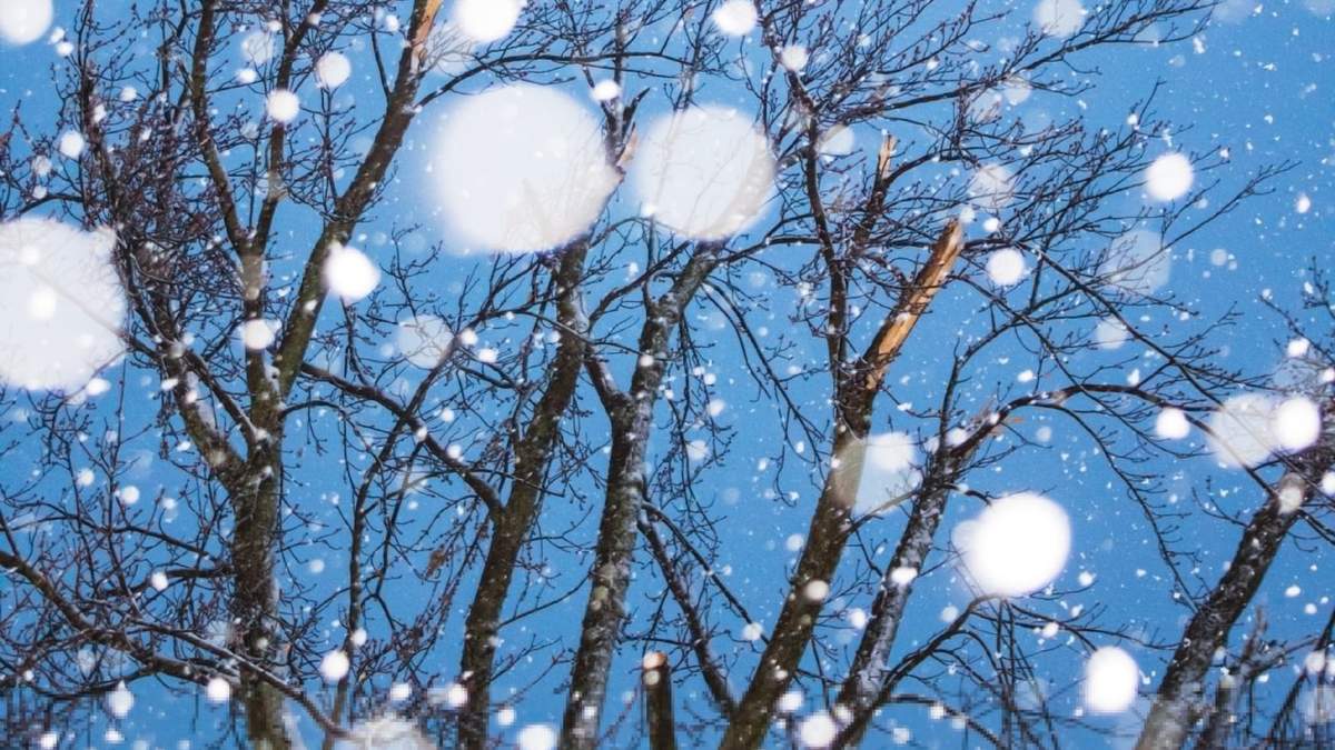 Nevadas. Fuente: (Instagram)