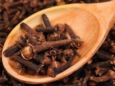 Clavo de olor: descubrí sus poderosos beneficios para la digestión, la fiebre y la diabetes