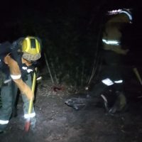 Hubo un incendio subterráneo por un fogón en el Parque Nacional Lanín en un lugar no habilitado