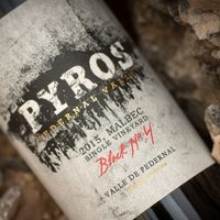 Un vino sanjuanino es elegido como el mejor del mundo