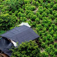Un día de furia en el paraíso de la coca