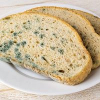 Esto le pasa a tu cuerpo si comés un alimento con moho, aunque que le quites la parte infectada
