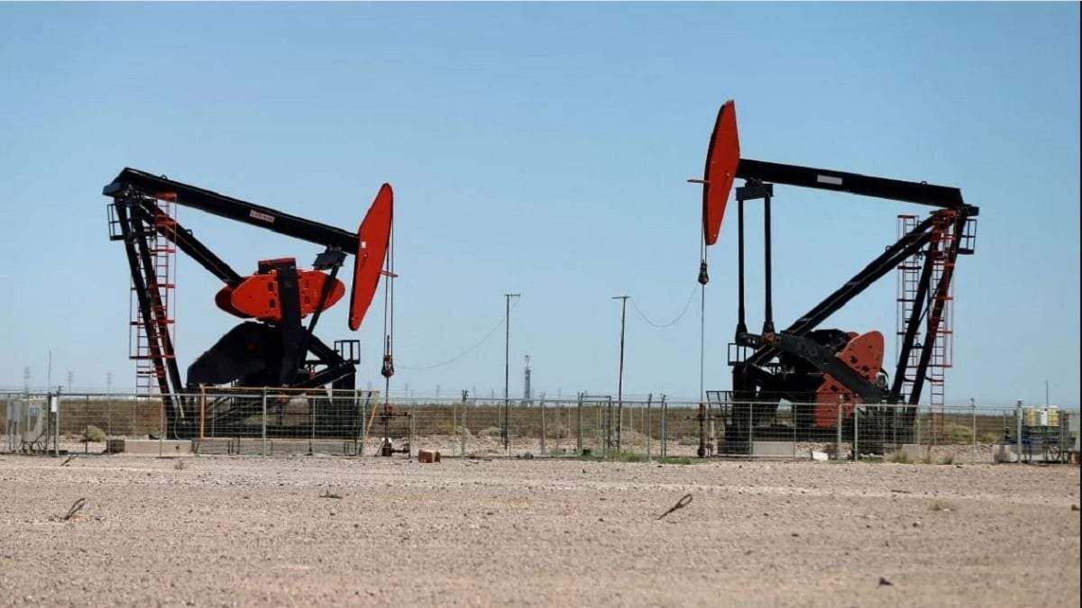Vaca Muerta. Fuente: (X)