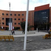 Joven fallece tras aventarse desde el edificio central de la Universidad de Guanajuato