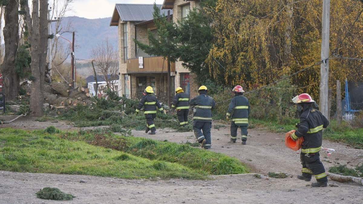 Árboles caídos en San Martín de los Andes. Fuente: (Twitter)