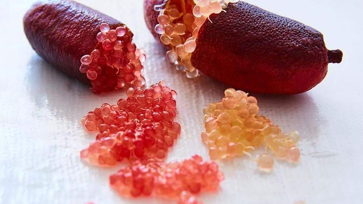 Finger Lime, el caviar cítrico. Fuente: (Instagram)