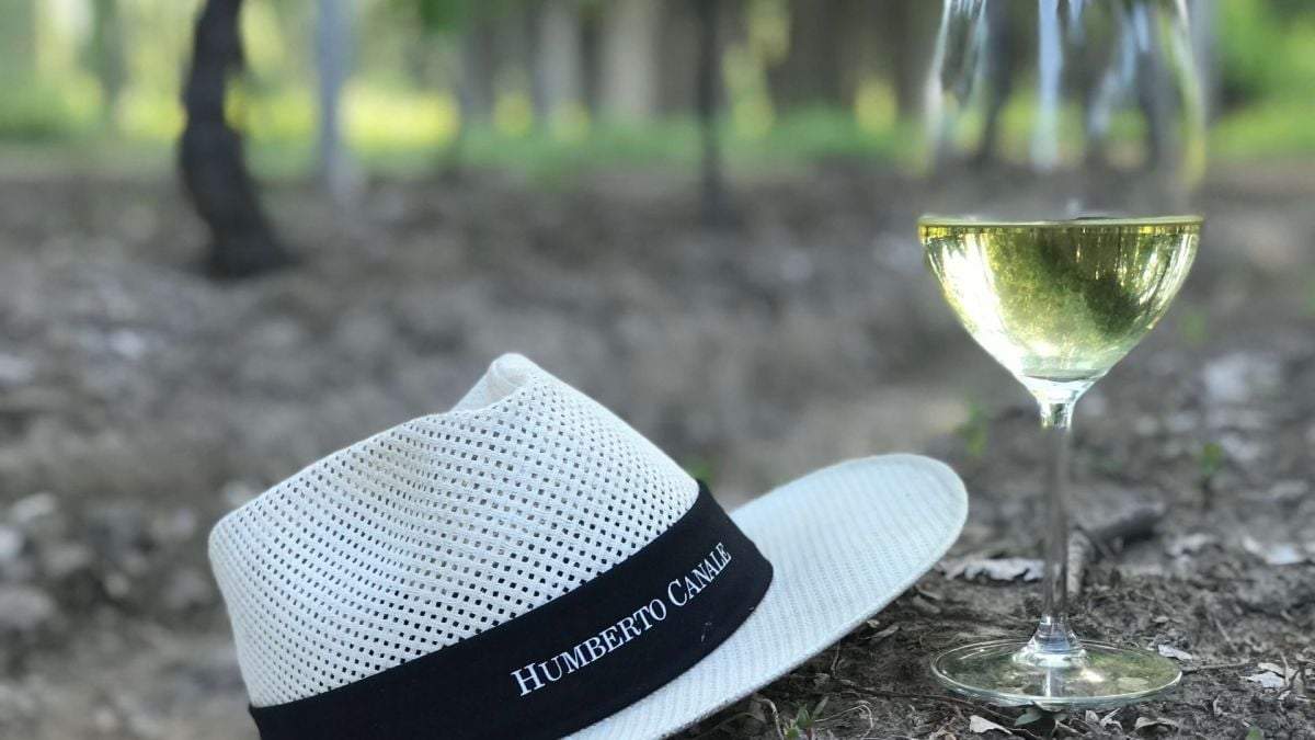El Riesling de Humberto Canale, joya rionegrina. Fuente:(Twitter)
