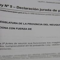 Se registraron más de 2.900 declaraciones juradas en Neuquén a un mes del decreto de obligatoriedad
