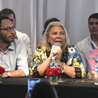 Coalición Cívica denunciará a senadores de Cristina Kirchner por arrogarse "facultades judiciales"