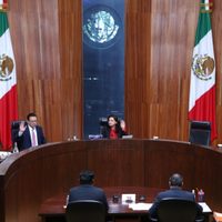 TEPJF da luz verde a los servidores públicos para promocionar elecciones judiciales