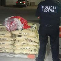 Decomisan 328 kilos de drogas y 200 litros de metanfetamina líquida en Ensenada y Tijuana