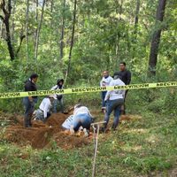 Encuentran cuatro cuerpos en predio del diputado del Sombrero, Carlos Bautista Tafolla