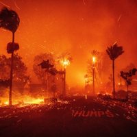La devastación de los incendios forestales en California (Fotogalería)