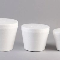Con el pote de helado que ibas a tirar y esta idea fácil, hacé la maceta más chic para tus plantas
