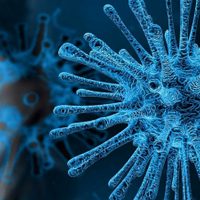 Coronavirus en Neuquén: ¿dónde se concentran los focos de contagio?. Mirá
