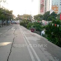 Desgajamiento en la delegación Azcapotzalco provoca la caída de árboles y postes