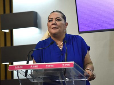 Taddei, cédula profesional: ¿todo en orden?