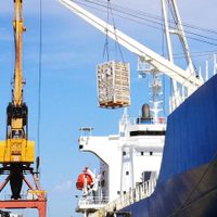 La revalorización del rublo podría permitir el regreso de la exportación de fruta a Rusia