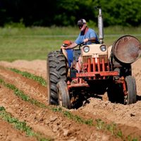 El Gobierno eliminó las retenciones de unos 70 productos agroindustriales de economías regionales