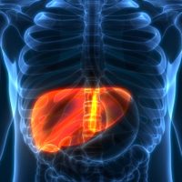 Lograron trasplantar con éxito un hígado, pese a que el órgano estuvo varios días fuera del cuerpo