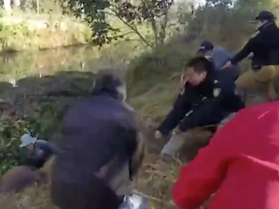 Así fue rescate de un caballo que cayó a un canal de Xochimilco (Video)