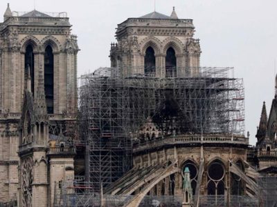 Evalúan robles centenarios para restaurar la aguja de la Catedral de Notre Dame