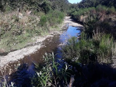 Se espera la llegada de repuestos para reparar el vertido cloacal en Las Piedritas