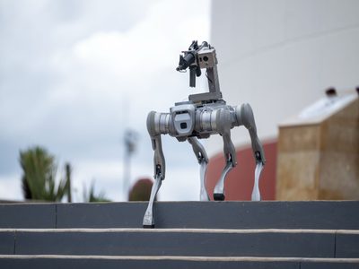 Perro robot vigilará Zacatecas; puede portar armas y realizar rescates