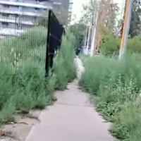 Vecinos denuncian falta de mantenimiento y oscuridad en el Parque Central