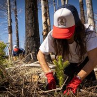 En Neuquén plantaron 3000 árboles para recuperar un bosque incendiado