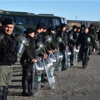 Gendarmería halló lagartos, droga y una suma millonaria de dinero en distintos procedimientos en Chubut