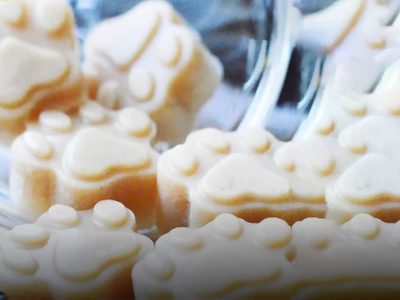 Gomitas nutritivas para tus perros: no gastés y elaborá vos mismo este snack que tu can va a amar