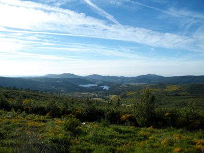 Portugal encontró una pintura rupestre de más de 7 mil años única en su territorio: de qué se trata