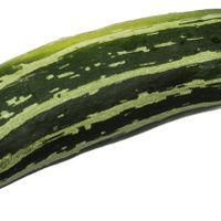 Con solo 2 zucchinis: prepará estos crujientes bastones que no tienen nada que envidiarles a las papas fritas